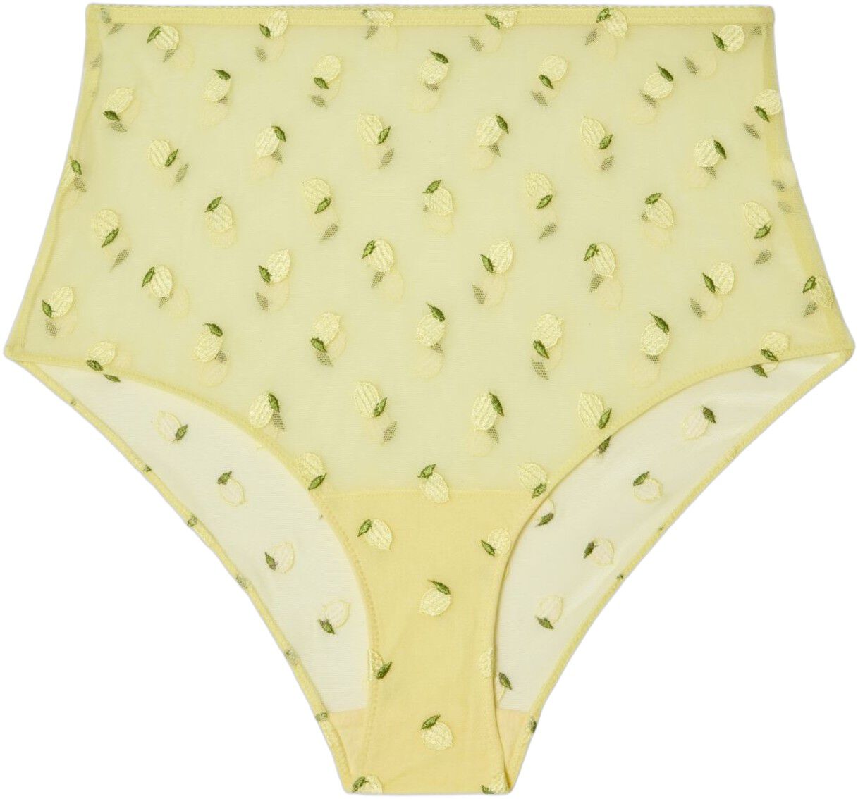 Mesh Highwaist Briefs