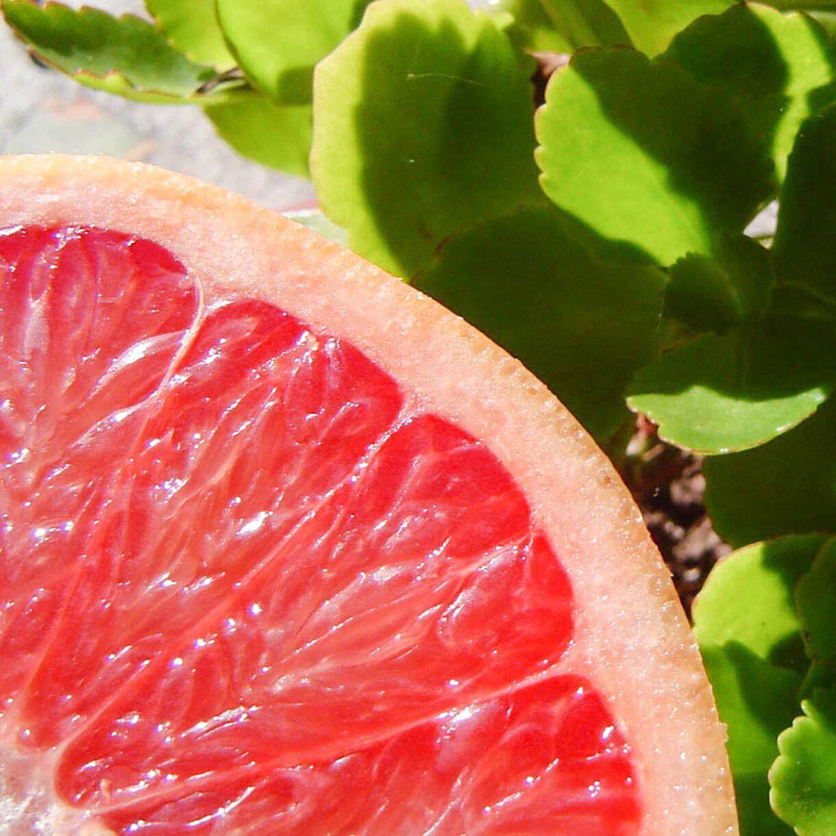 Solid parfume - Pink grapefruit No. 33