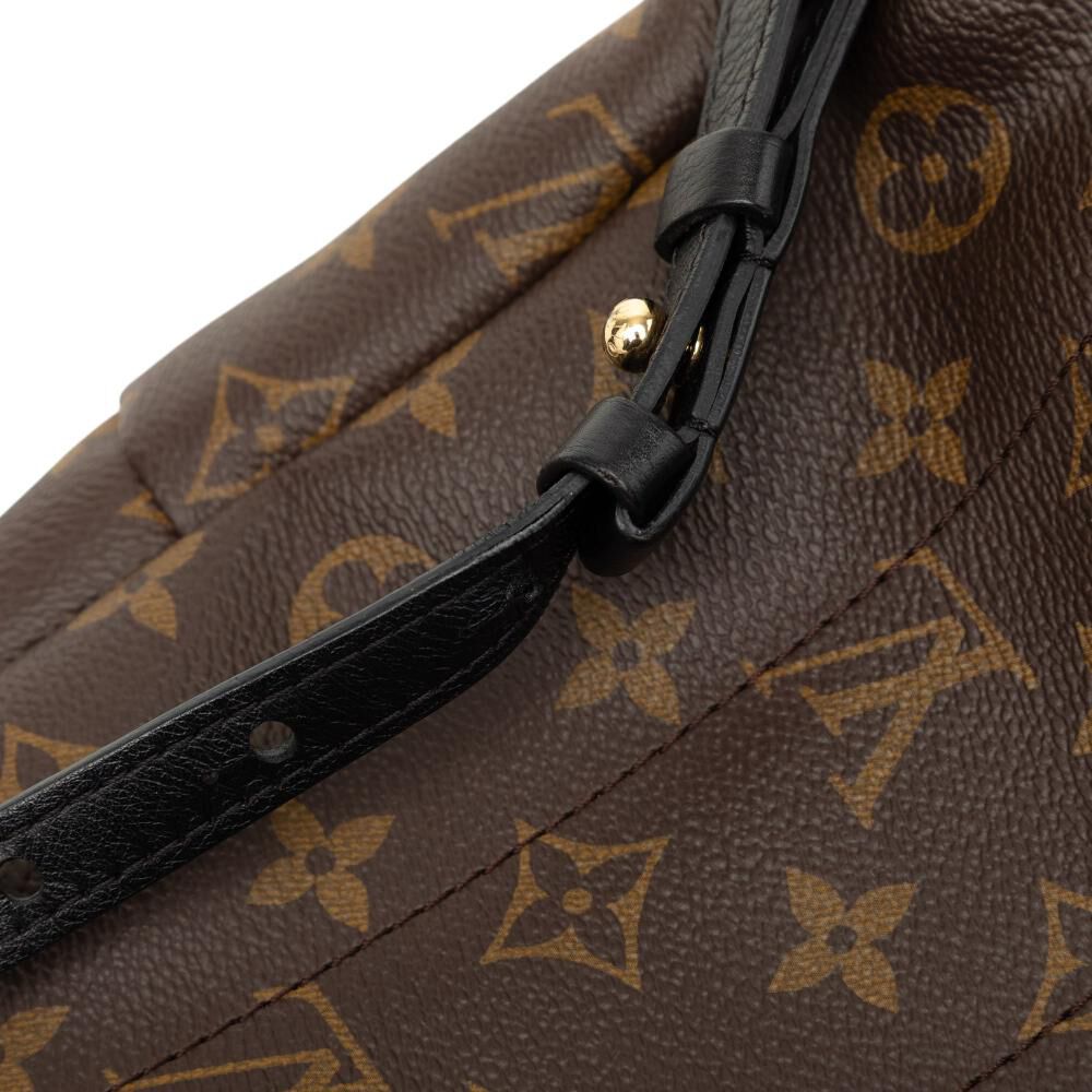 Louis Vuitton Palm Springs