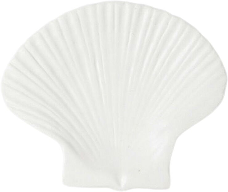 Plate Shell M