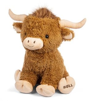 BULL HIGHLAND 70cm