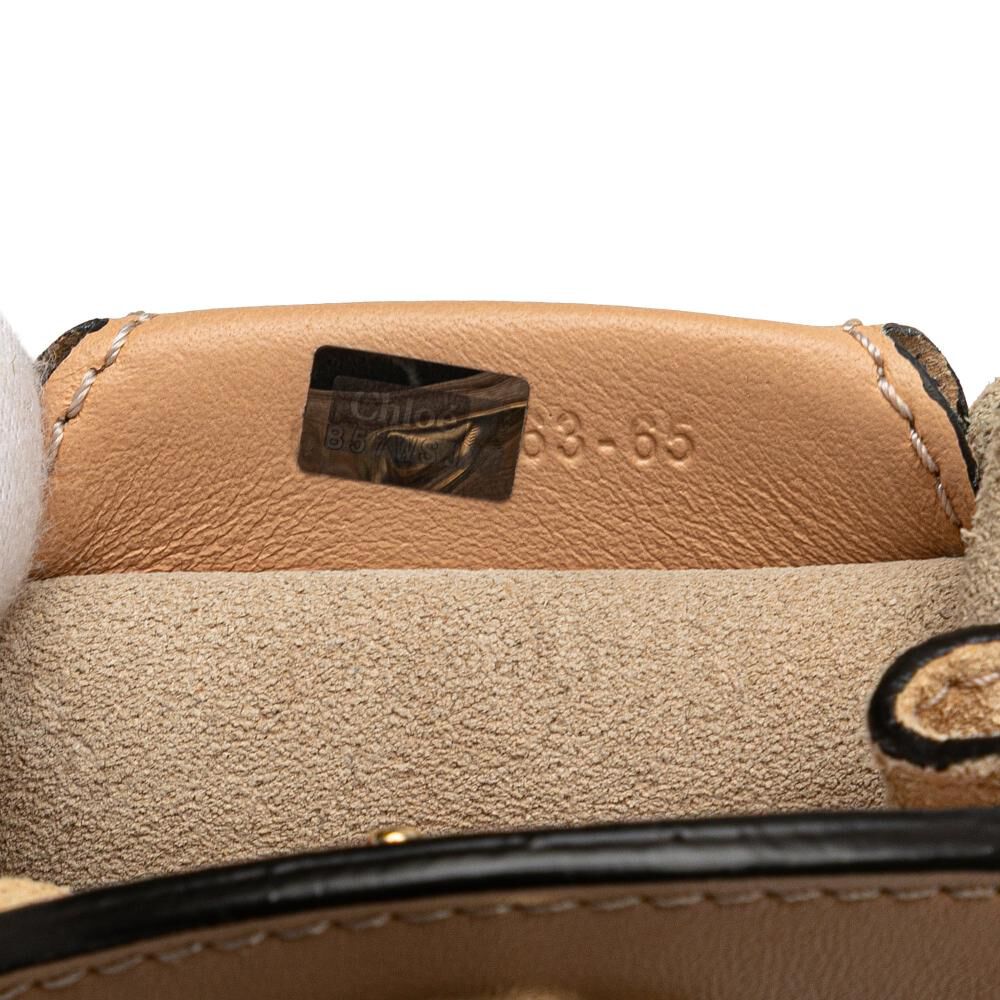 Chlo&eacute; Crossbody Bag