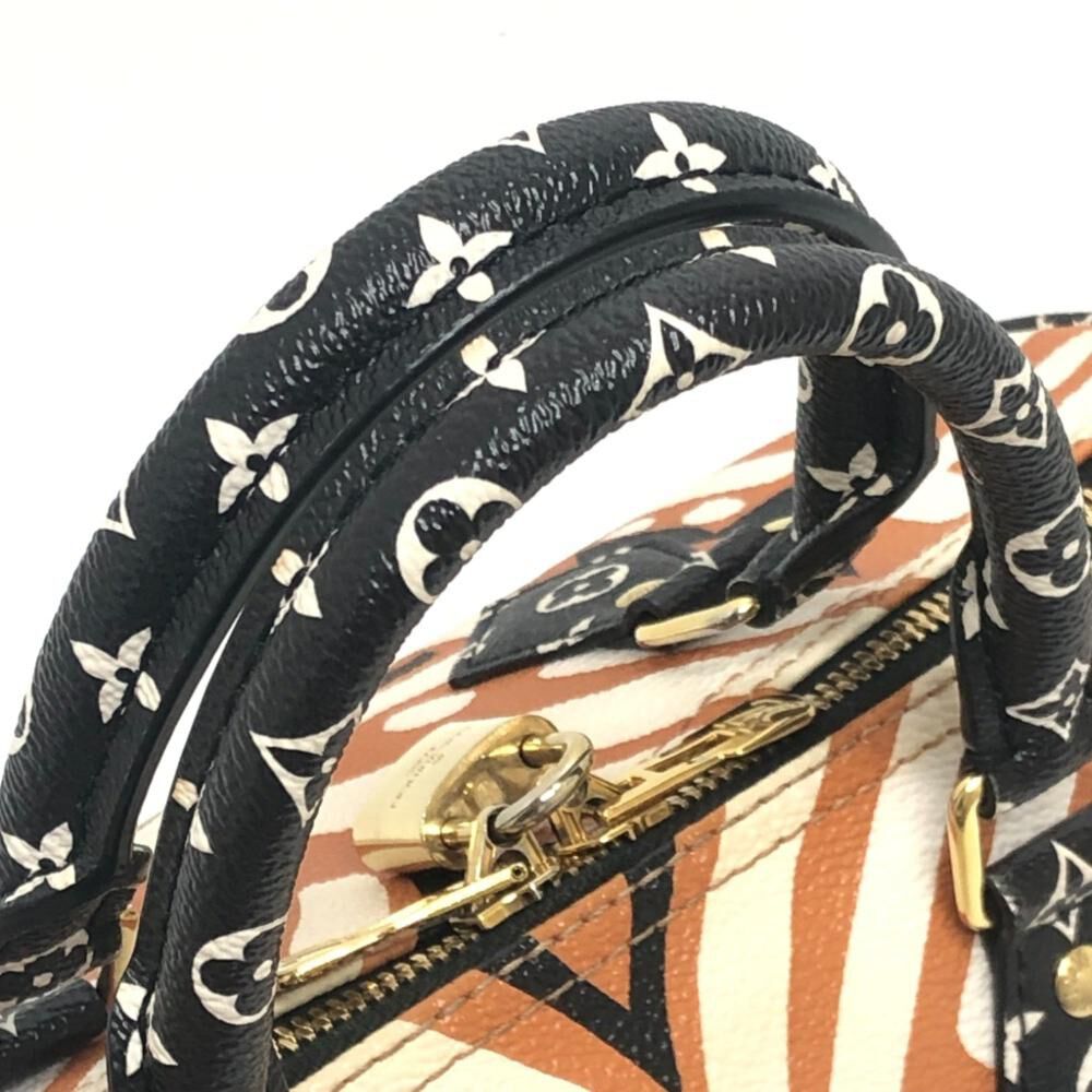 Louis Vuitton Speedy