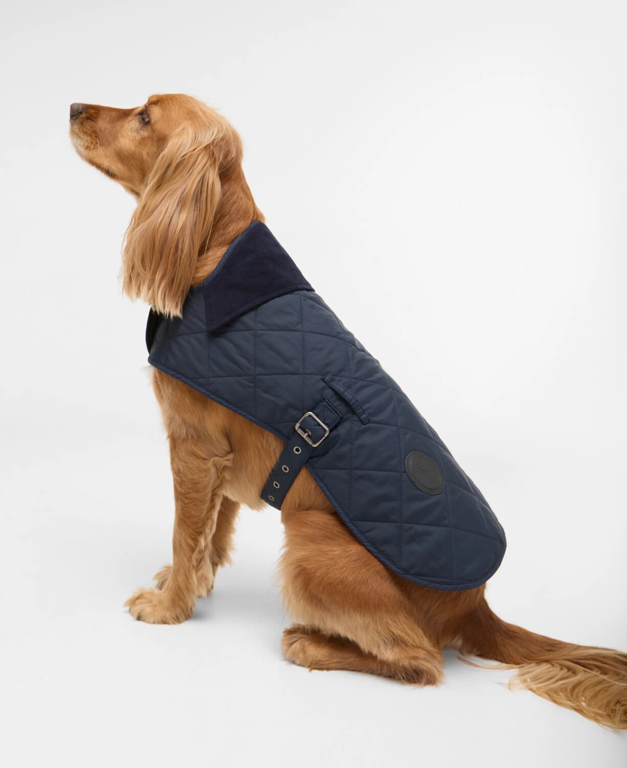 Barbour Quilt Dog Coat