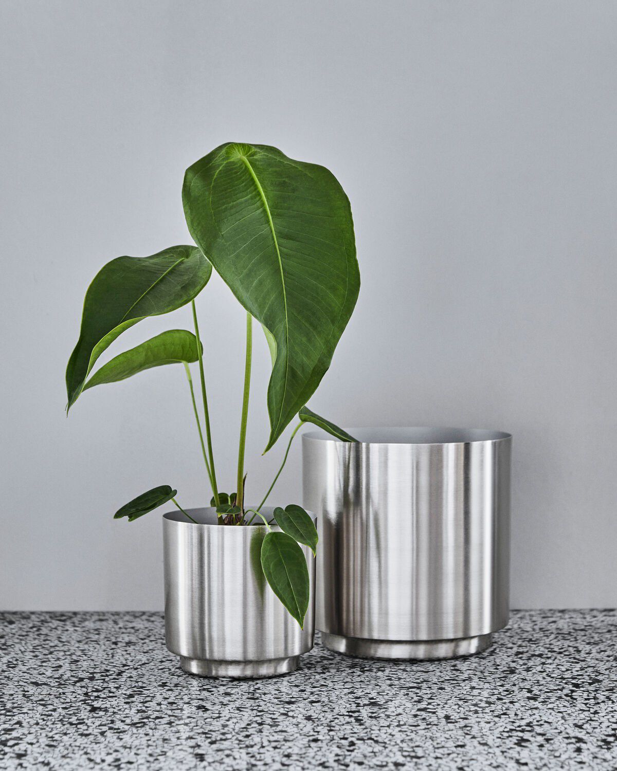 Planter, HDBailey, Silver finish