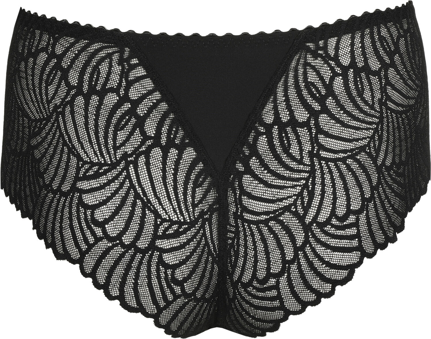 Gallipoli luksus g-streng