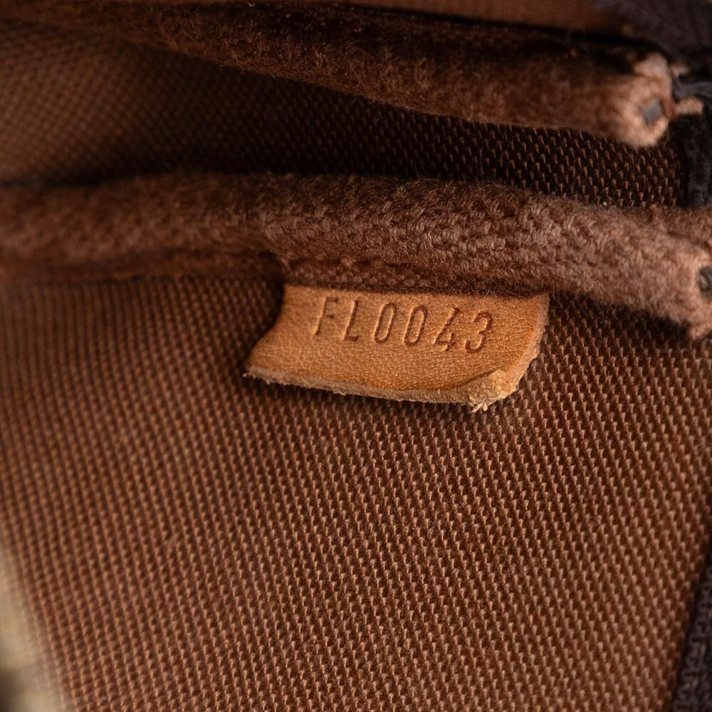 Louis Vuitton Pochette Accessoires