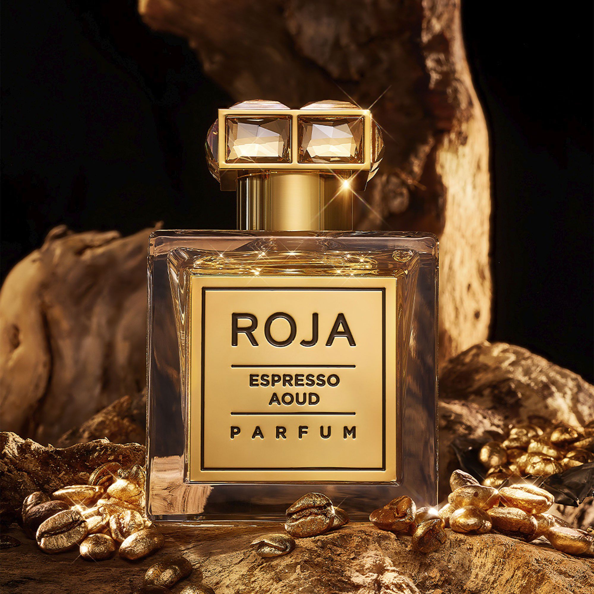 Roja Espresso Aoud Parfum 50 ml