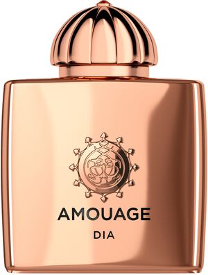AMOUAGE DIA WOMAN EDP 100 ML