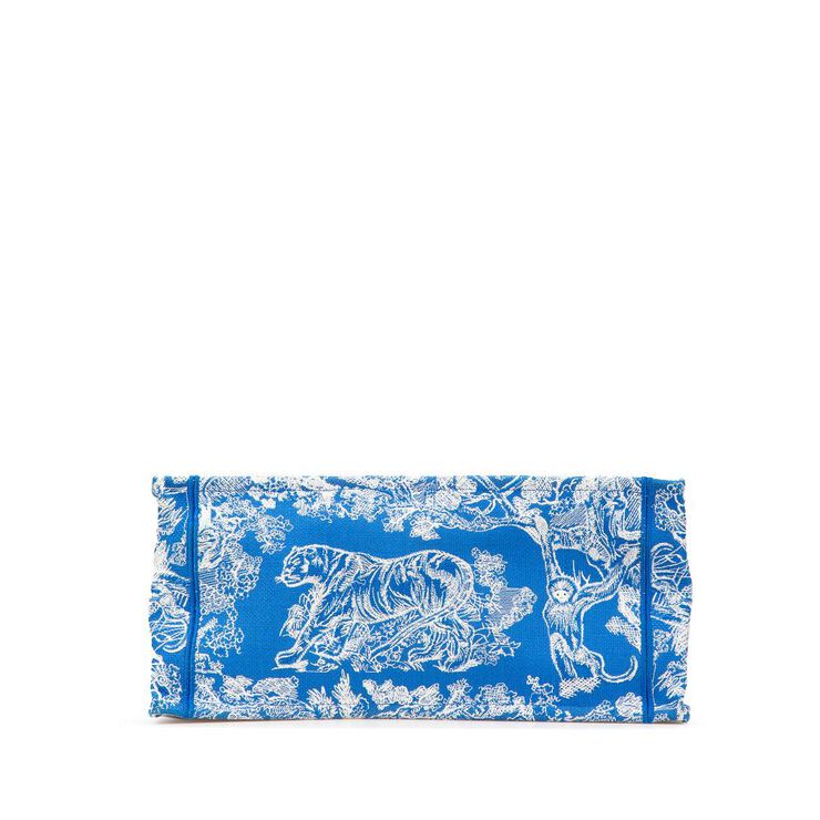 Dior Book Tote
