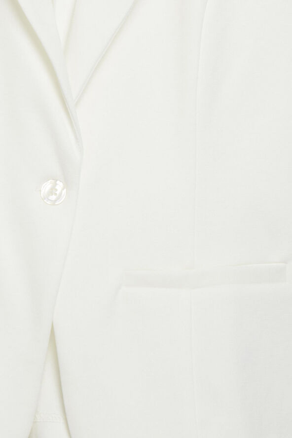 Zablazer 1 Blazer