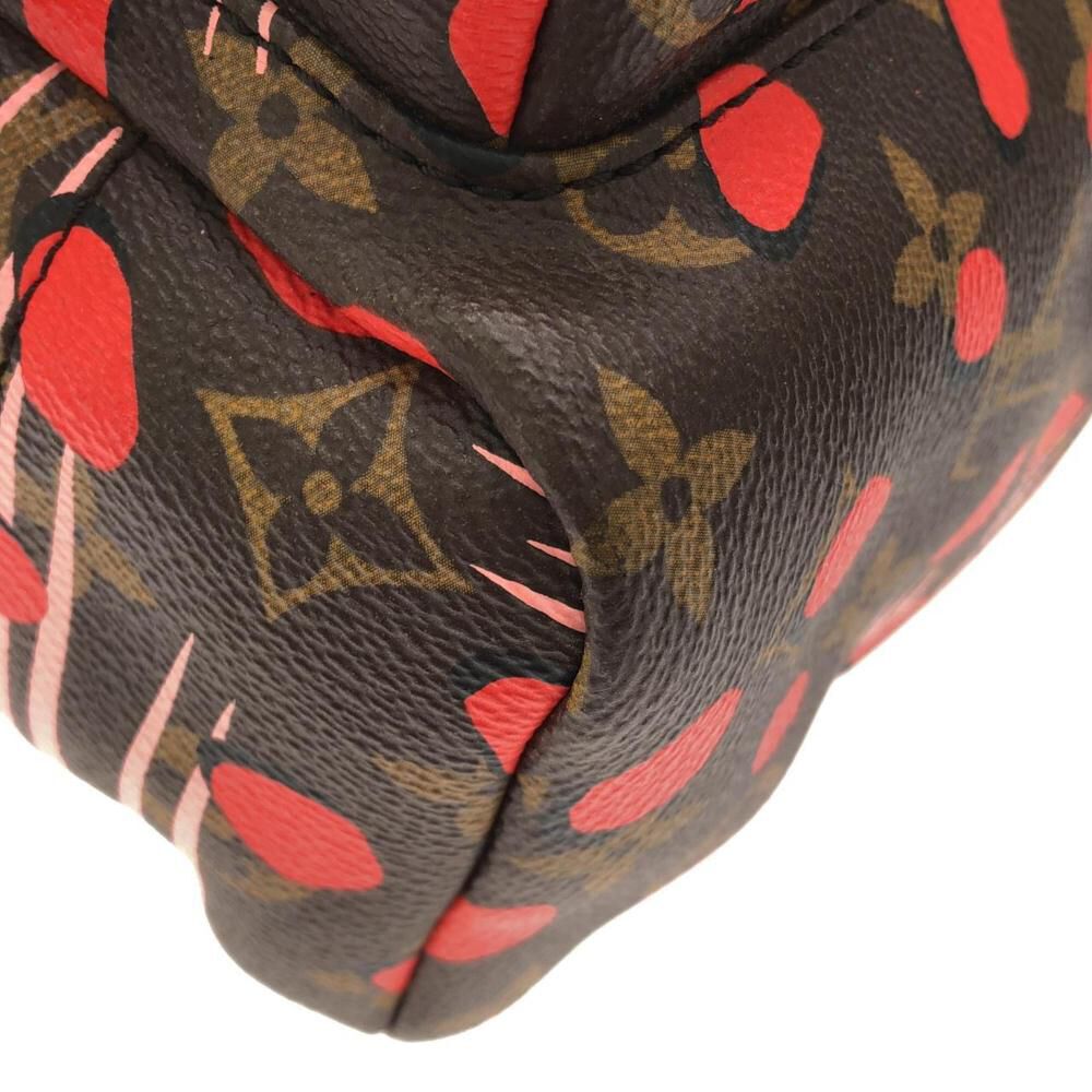 Louis Vuitton Palm Springs