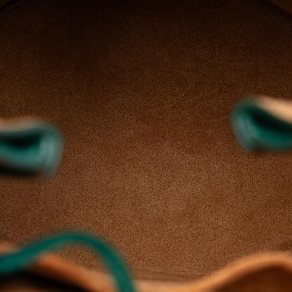 Bottega Veneta Bucket Bag