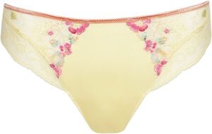 Lizelot rio briefs