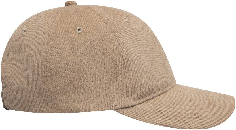 Element Corduroy Dad Cap