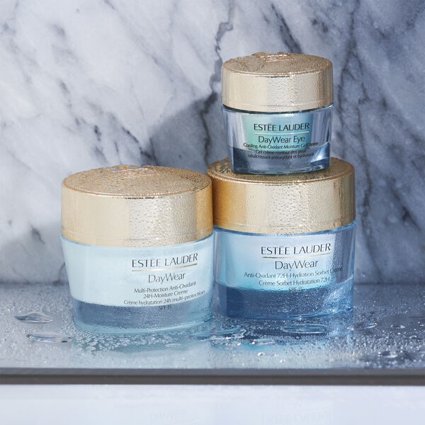 DayWear Anti-Oxidant Cream SPF 15