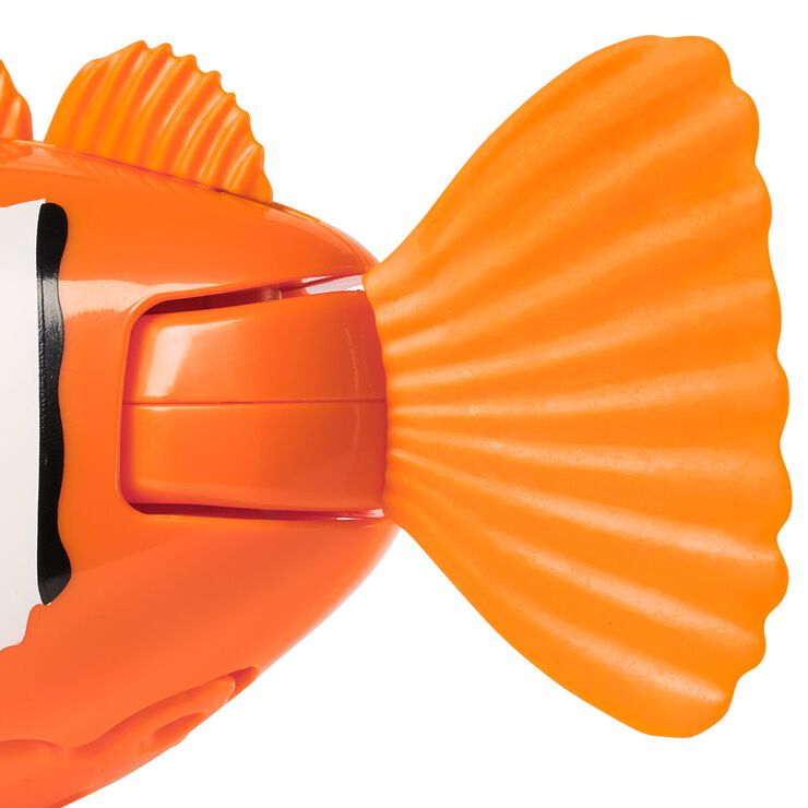 Rainbow Reef Fish - Clown