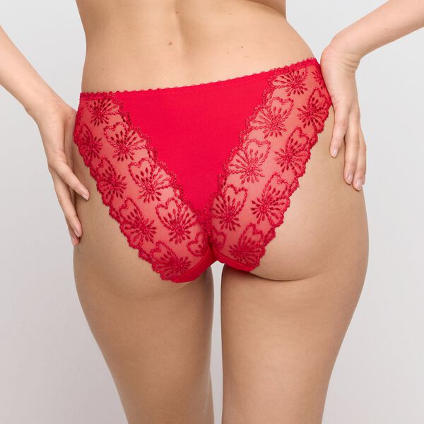Jane Italian briefs