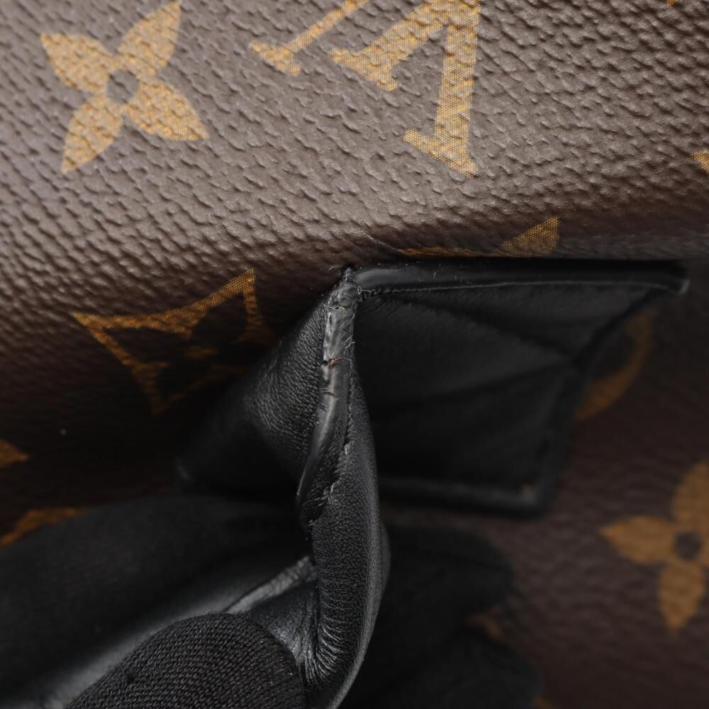 Louis Vuitton Palm Springs