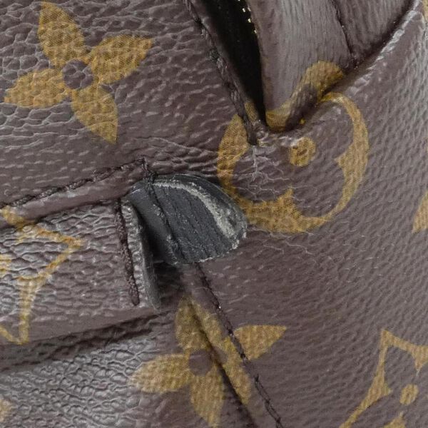 Louis Vuitton Palm Springs