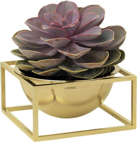 Bowl centerpiece - Small Gold Plate