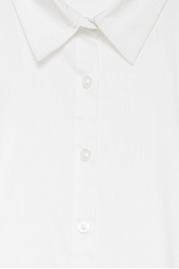 Zashirt 1 shirt solid