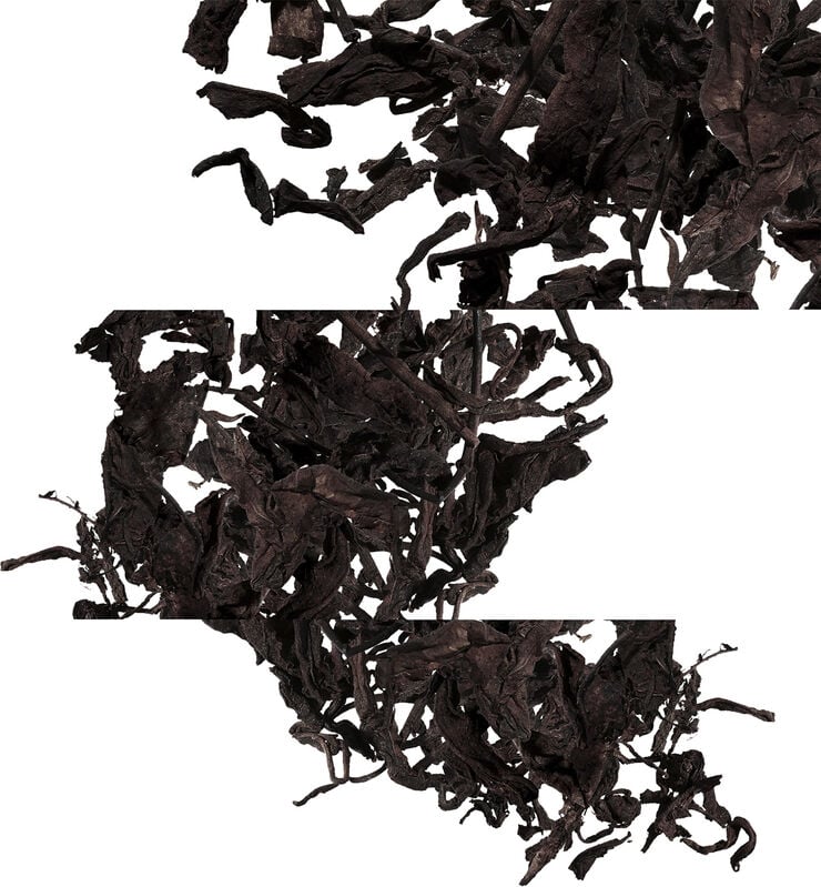 Eau de citron noir Eau de Cologne