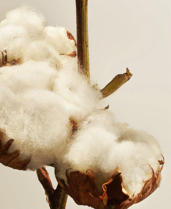 Cotton Blossom Refill Scented Candle 360g