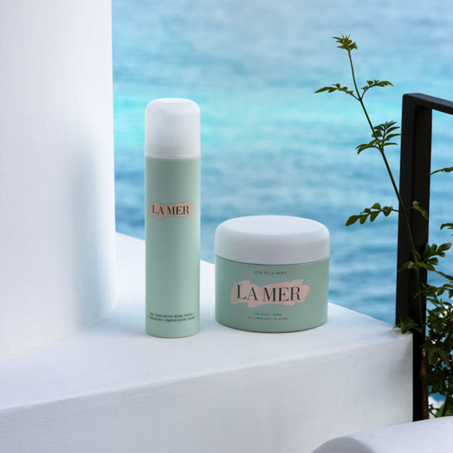 The Body Creme