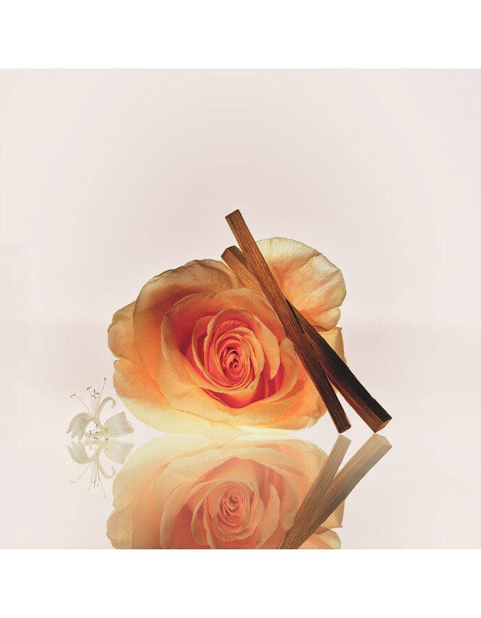 Mood Stones EdP Blush Wood 10 ml
