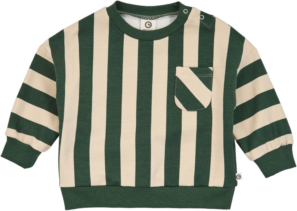 Sweatshirt med r&auml;nder, baby