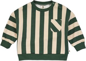 Stripe Sweatshirt Baby