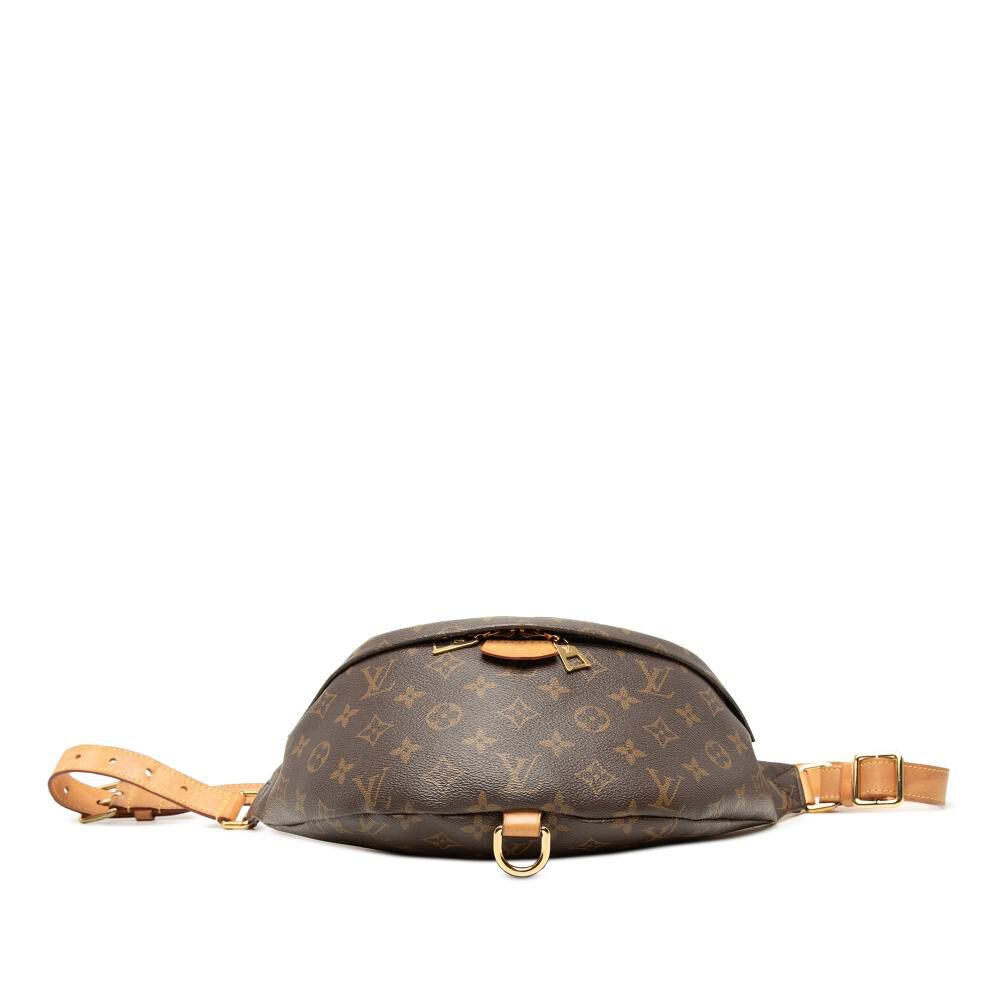 Louis Vuitton Belt Bags
