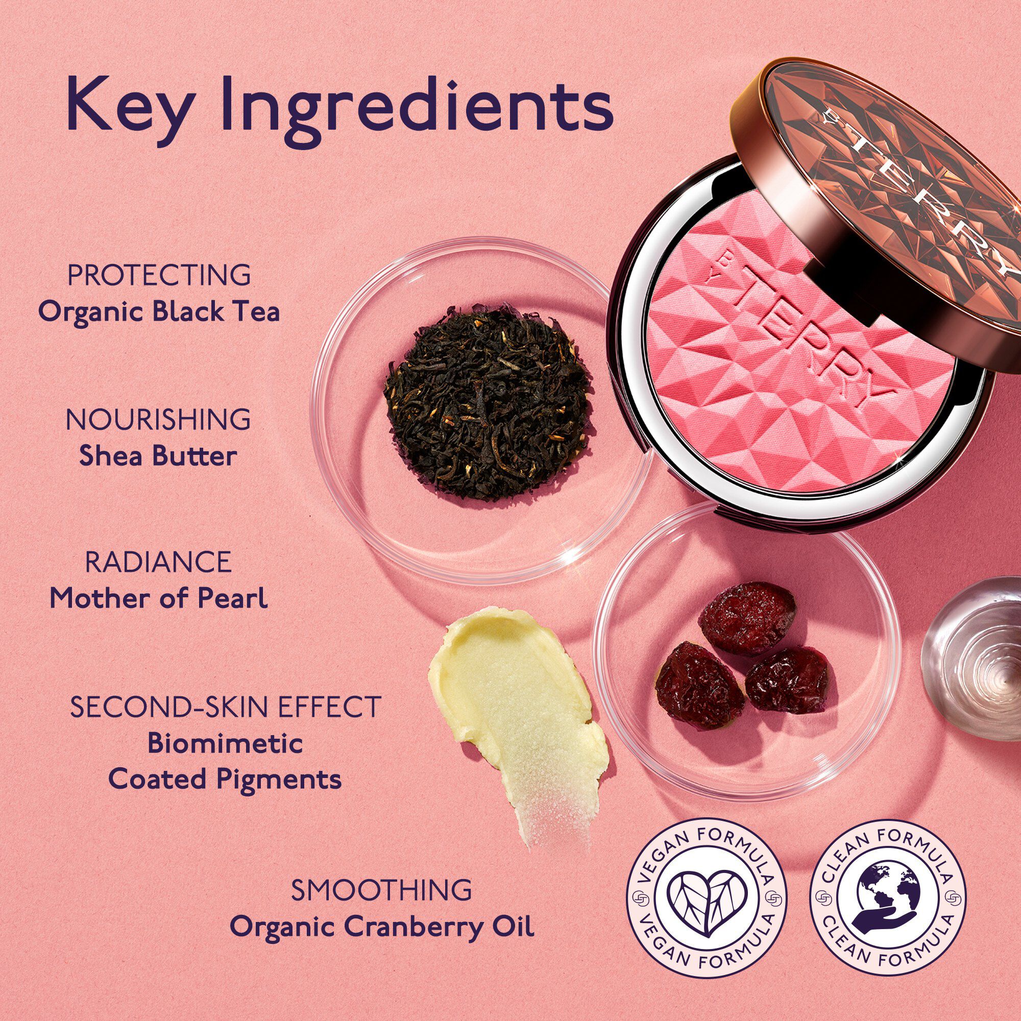 Tea to Tan Powder Blush N6 - Spicy