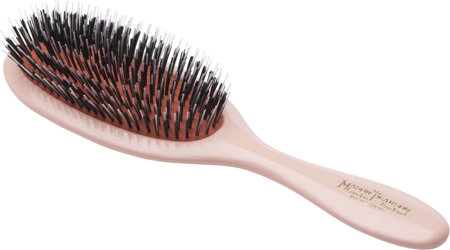 BN3 - Handy Bristle and Nylon