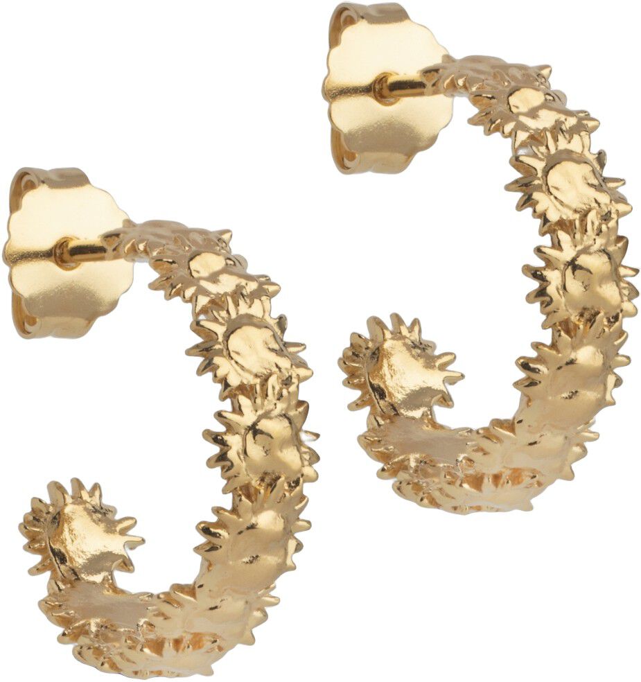 Hoops, Sunshine Wreath