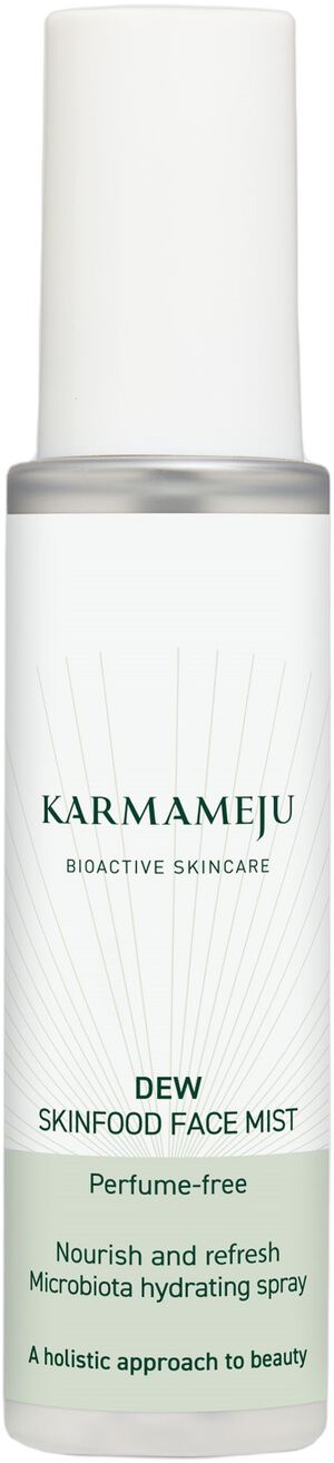 Face Mist, DEW, Perfume-free, 100 ml