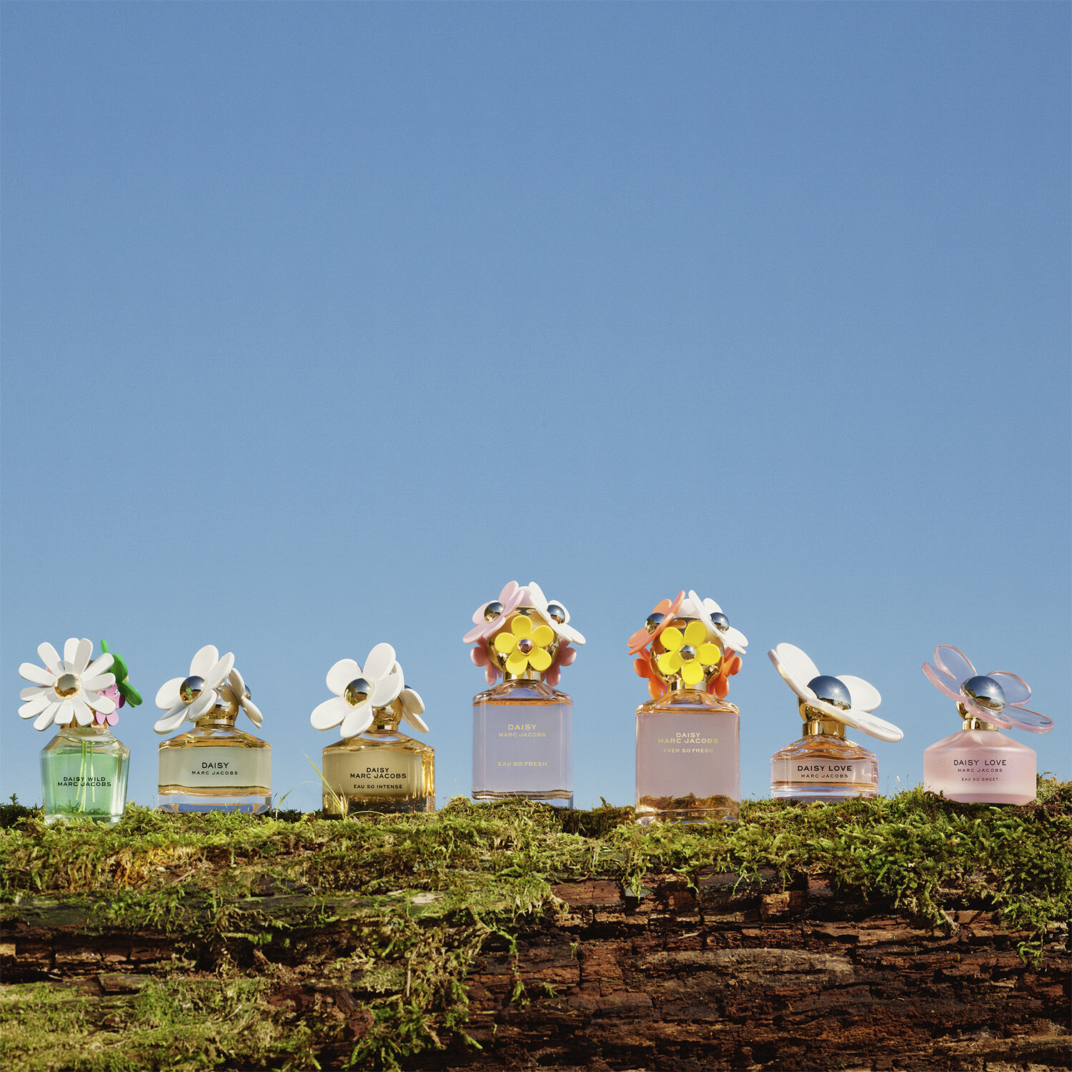 Daisy Wild Eau de Parfum