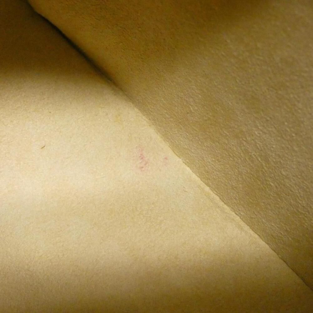 Louis Vuitton Looping