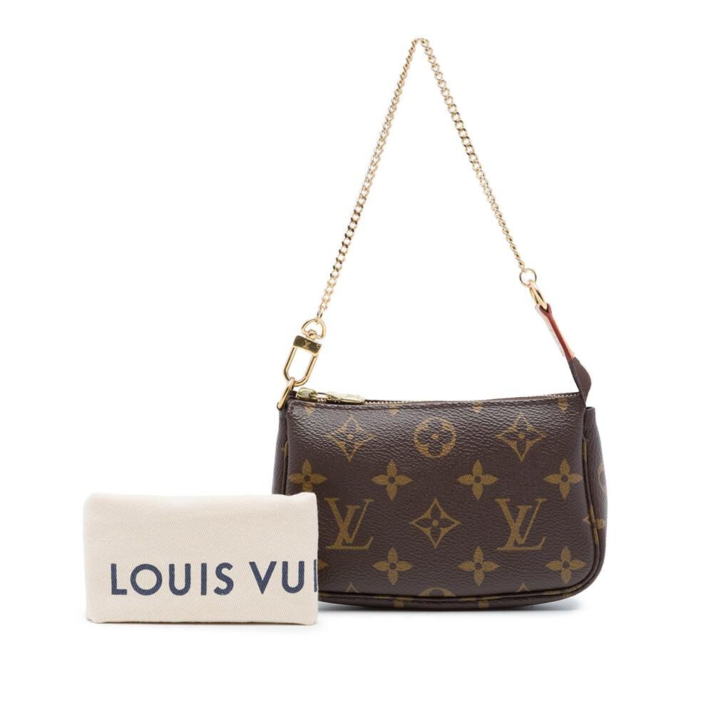 Louis Vuitton Pochette Accessoires