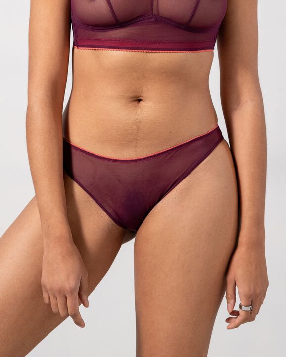 Mesh Bikini Briefs