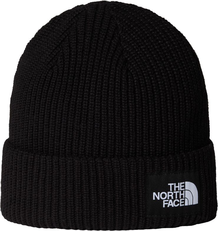 SALTY LINED BEANIE TNF