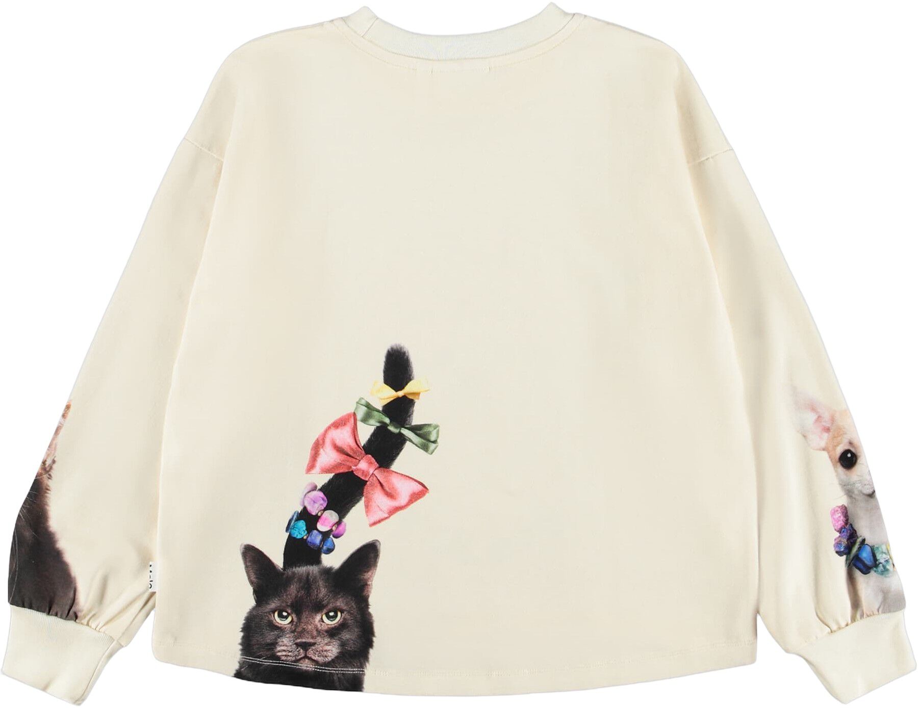 Reniza