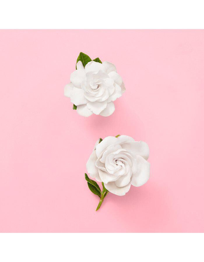 Flora Gorgeous Gardenia Eau de parfum refill 150. 0 ML