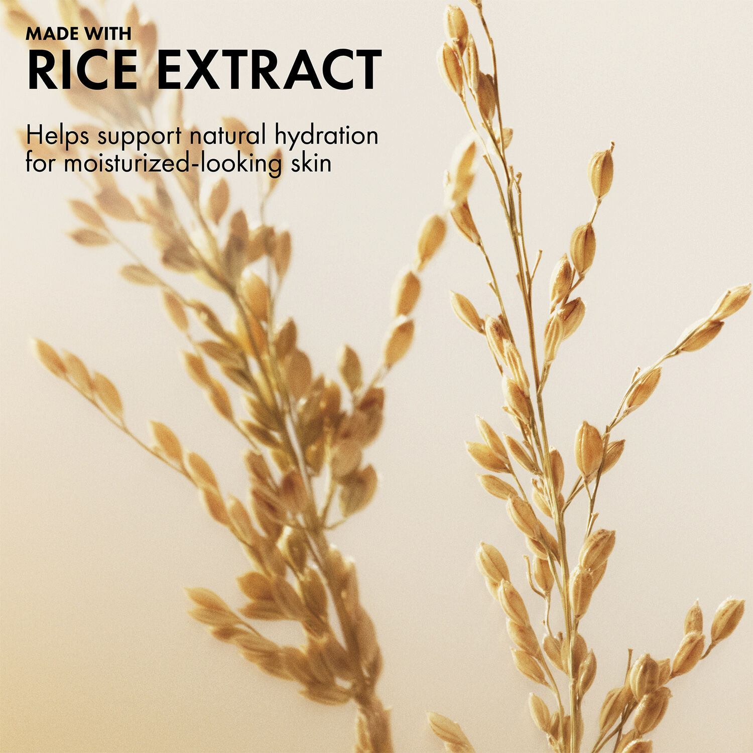 Plantscription Lifting + Firming Cream