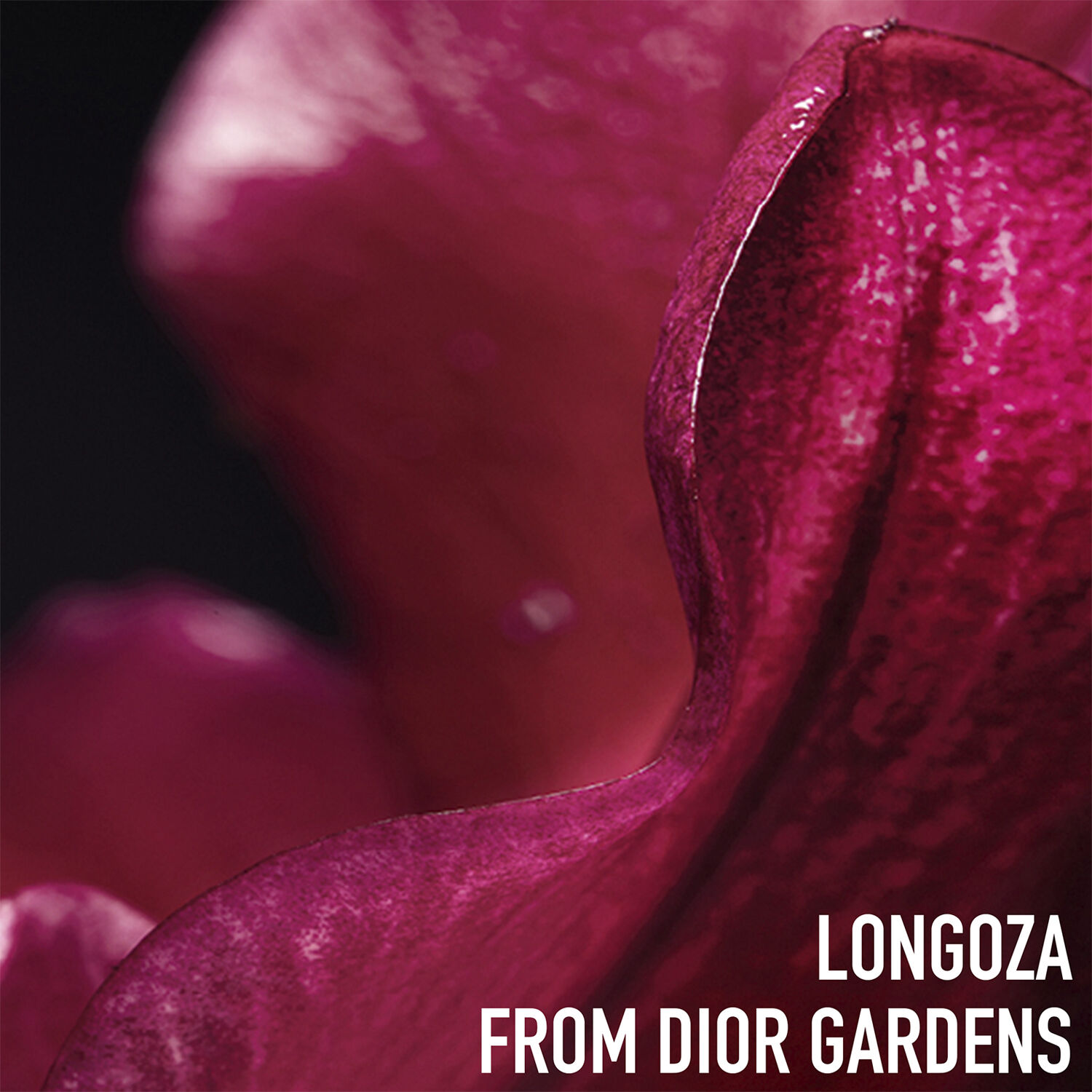 DIOR Capture Totale Super Potent Rich Creme