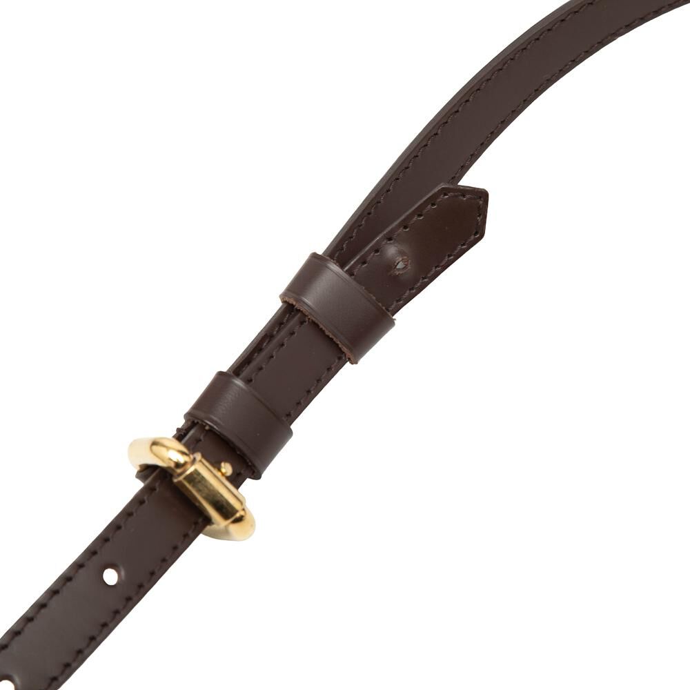 Louis Vuitton Crossbody Bag