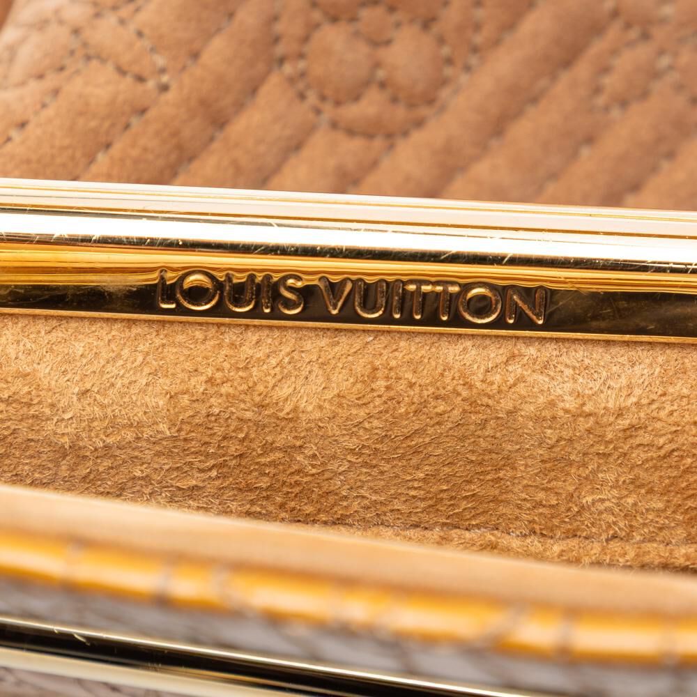 Louis Vuitton Handbag