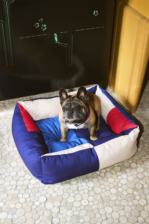 HAY Dogs Bed-Medium-Red, blue