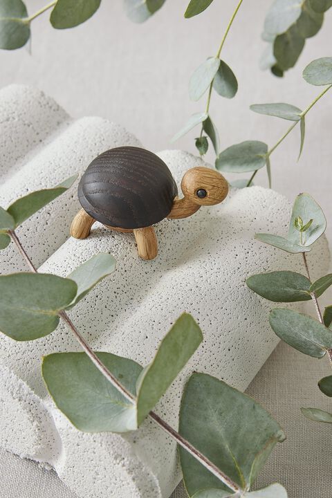 Sporty, Skildpaddeunge